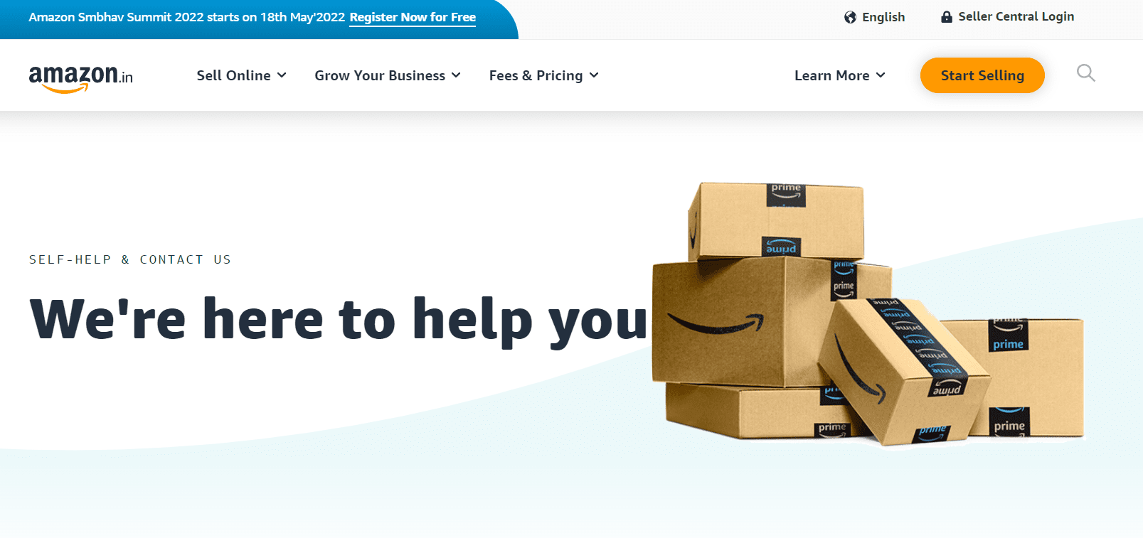 Downgrade My Amazon Seller Account
