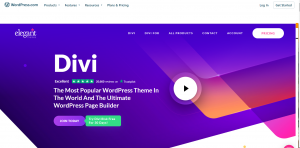 Divi Review