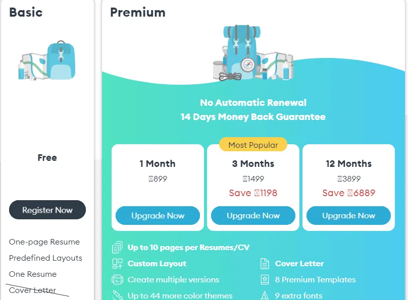 Novoresume Review Pricing