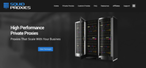 Squid Proxies Overview