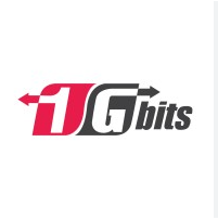 1Gbits