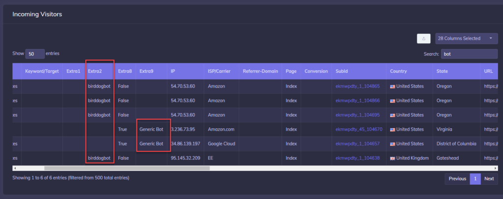 CPV Lab Bot Traffic Filtering
