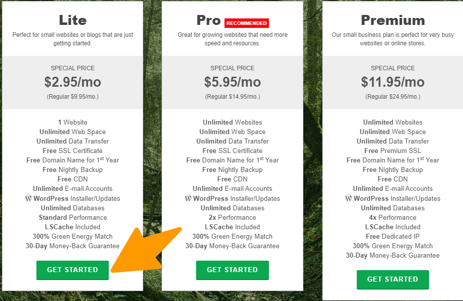 GreenGeeks Black Friday Deals GreenGeeks - Pricing