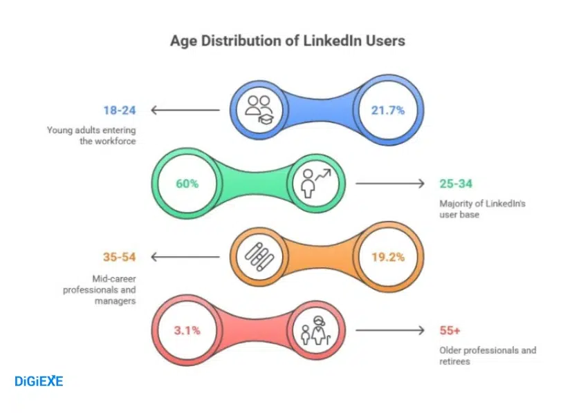 LinkedIn Users Demographics