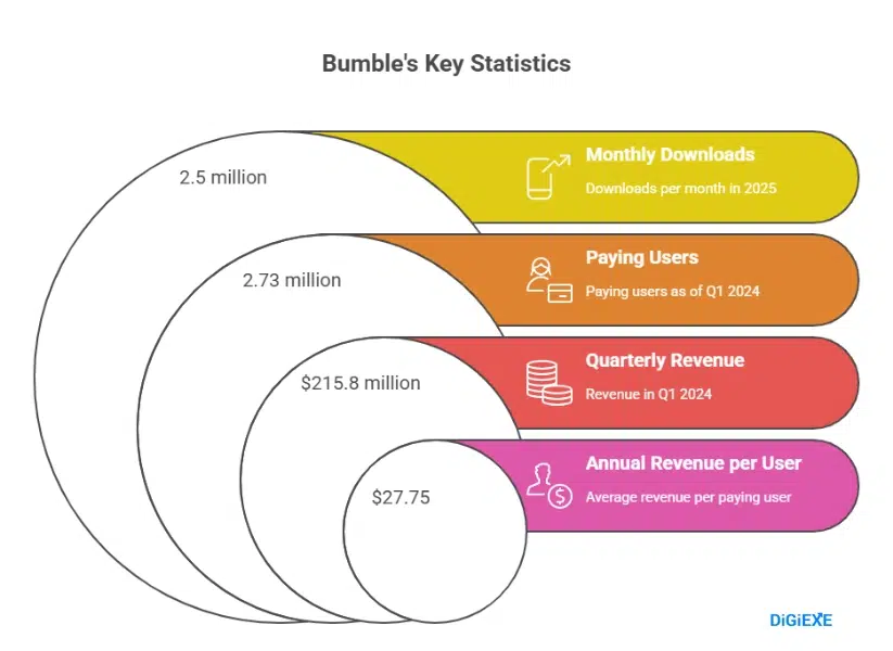 Bumble User Statistics