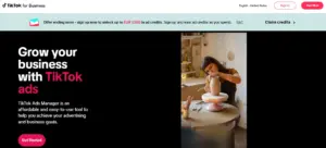 Tiktok for business-homepage