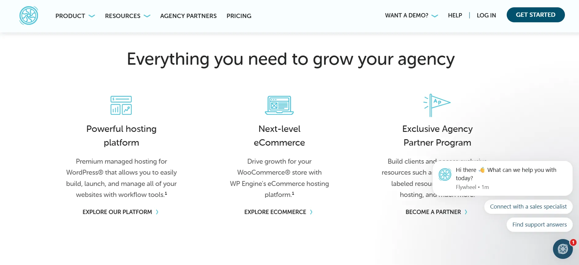 Flywheel features